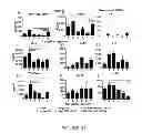Fig. 34 - Compositions and methods for treating and preventing porcine reproductive and respiratory syndrome