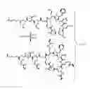 Fig. 04 - BIOCOMPATIBLE POLYACRYLATE COMPOSITIONS AND METHODS OF USE