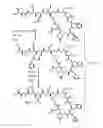 Fig. 06 - BIOCOMPATIBLE POLYACRYLATE COMPOSITIONS AND METHODS OF USE