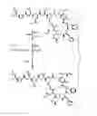 Fig. 07 - BIOCOMPATIBLE POLYACRYLATE COMPOSITIONS AND METHODS OF USE