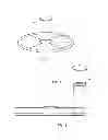 Fig. 03 - Pizza and Method of Preparation