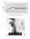 Fig. 02 - NANOIRON-BASED OXYGEN SCAVENGERS