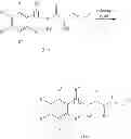 Fig. 29 - SALTY TASTE ENHANCER
