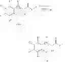 Fig. 30 - SALTY TASTE ENHANCER
