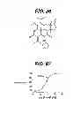 Fig. 57 - THERAPEUTIC AGENT ELUTION CONTROL PROCESS