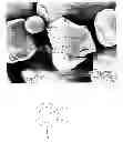 Fig. 01 - Sintering aid coated YAG powders and agglomerates and methods for making
