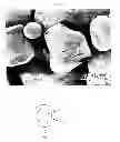 Fig. 02 - Sintering aid coated YAG powders and agglomerates and methods for making