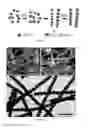 Fig. 02 - Magnetically responsive photonic nanochains