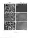 Fig. 03 - Magnetically responsive photonic nanochains
