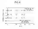 Fig. 07 - OPTICAL COMPONENT AND MANUFACATURING METHOD THEREOF