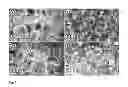 Fig. 04 - Manufacture of structures comprising silicon dioxide on a surface