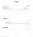 Fig. 03 - Photomask-forming glass substrate and making method