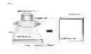 Fig. 06 - SHATTERPROOFING MEMBER WITH HARDENABLE PRESSURE-SENSITIVE ADHESIVE LAYER