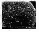 Fig. 01 - Microstructured composite particles