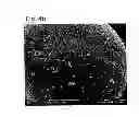 Fig. 03 - Microstructured composite particles