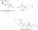Fig. 33 - Accelerator/oxidant/proton source combinations for two part curable compositions