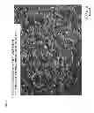 Fig. 07 - Polycrystalline silicon rod