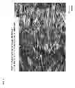 Fig. 12 - Polycrystalline silicon rod