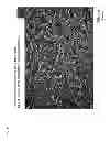 Fig. 15 - Polycrystalline silicon rod