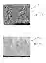Fig. 03 - ENHANCED MATERIALS AND INTERFACIAL PERFORMANCE VIA INFILTRATION