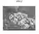 Fig. 03 - POSITIVE ELECTRODE ACTIVE MATERIAL FOR MAGNESIUM SECONDARY BATTERY, MAGNESIUM SECONDARY BATTERY, METHOD FOR MANUFACTURING POSITIVE ELECTRODE ACTIVE MATERIAL FOR MAGNESIUM SECONDARY BATTERY, AND METHOD FOR MANUFACTURING MAGNESIUM SECONDARY BATTERY