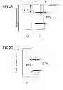 Fig. 03 - PHOTOELECTRODE AND METHOD FOR PRODUCING SAME, PHOTOELECTROCHEMICAL CELL AND ENERGY SYSTEM USING SAME, AND HYDROGEN GENERATION METHOD