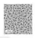 Fig. 01 - FUEL CELL ELECTROCATALYST