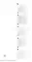 Fig. 08 - FUEL CELL ELECTROCATALYST