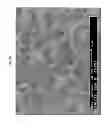 Fig. 04 - Ceria-based composition including bismuth oxide, ceria-based composite electrolyte powder including bismuth oxide, method for sintering the same and sintered body made thereof