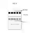 Fig. 03 - Electrophotographic photosensitive member, process cartridge, and electrophotographic apparatus
