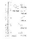 Fig. 06 - Endodontic instrument for drilling