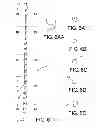 Fig. 07 - Endodontic instrument for drilling