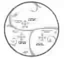 Fig. 01 - Precise Portions Nutrition Control System