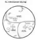 Fig. 02 - Precise Portions Nutrition Control System