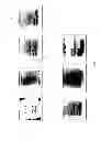 Fig. 05 - BIOSURFACE ENGINEERING