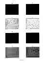 Fig. 09 - BIOSURFACE ENGINEERING