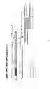 Fig. 02 - Method for the determination of botulinum neurotoxin biological activity