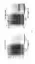 Fig. 09 - Method for the determination of botulinum neurotoxin biological activity