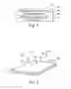 Fig. 02 - Engineered cell growth on polymeric films and biotechnological application thereof