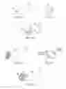 Fig. 10 - Engineered cell growth on polymeric films and biotechnological application thereof