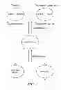 Fig. 02 - RECOMBINATIONAL CLONING USING NUCLEIC ACIDS HAVING RECOMBINATION SITES