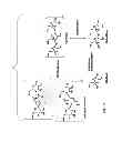 Fig. 02 - PROCESSING BIOMASS