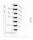 Fig. 10 - MODIFIED PHOTOSYNTHETIC MICROORGANISMS FOR PRODUCING LIPIDS