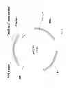 Fig. 49 - BIOLOGICAL METHODS FOR PREPARING ADIPIC ACID