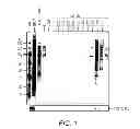 Fig. 02 - METHOD OF PURIFYING EXOSOMES
