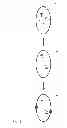 Fig. 03 - DinQ-sRNA type I toxin-antitoxin system for plasmid maintenance