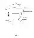 Fig. 05 - DinQ-sRNA type I toxin-antitoxin system for plasmid maintenance