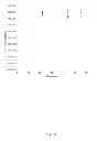 Fig. 10 - DinQ-sRNA type I toxin-antitoxin system for plasmid maintenance