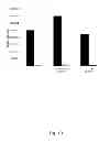 Fig. 11 - DinQ-sRNA type I toxin-antitoxin system for plasmid maintenance