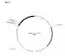 Fig. 04 - Targeted alteration of DNA